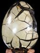 Septarian Dragon Egg Geode - Black Crystals #47478-2